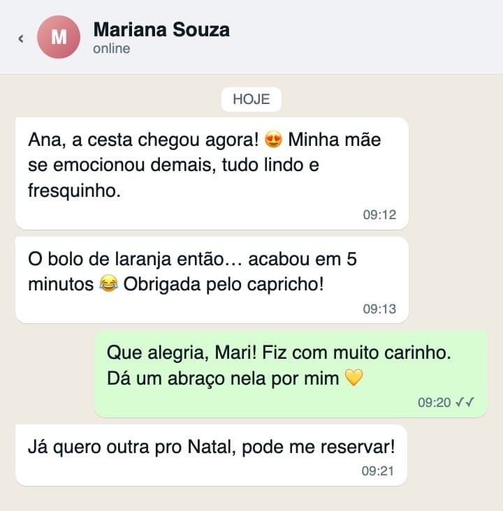 Print de uma conversa de WhatsApp com um elogio da cliente